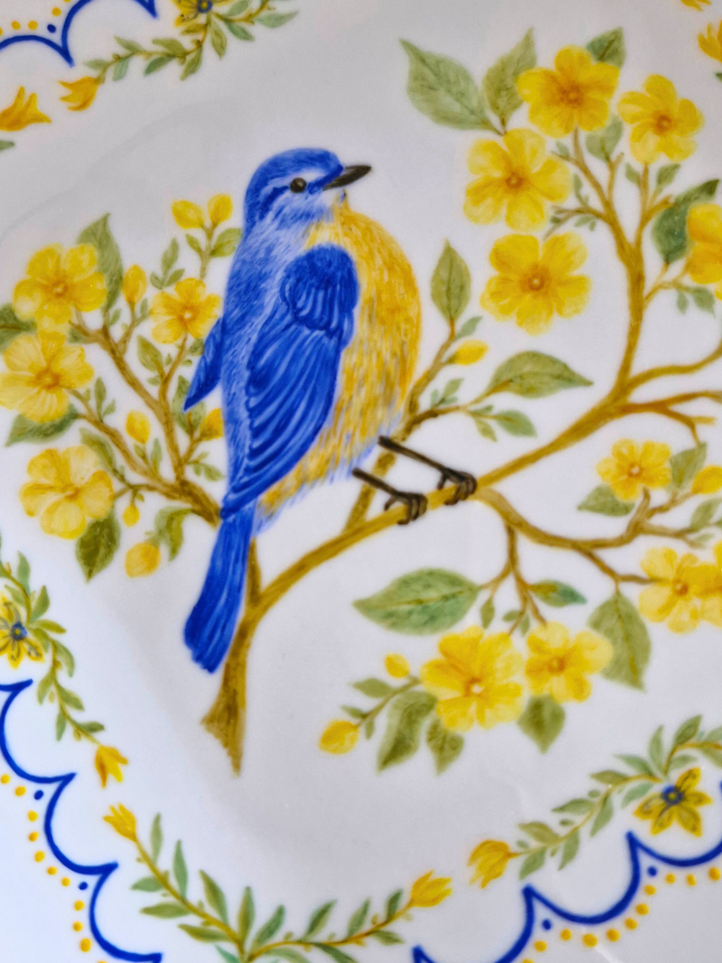 Coupelle Gourmandise MESANGE BLEUE