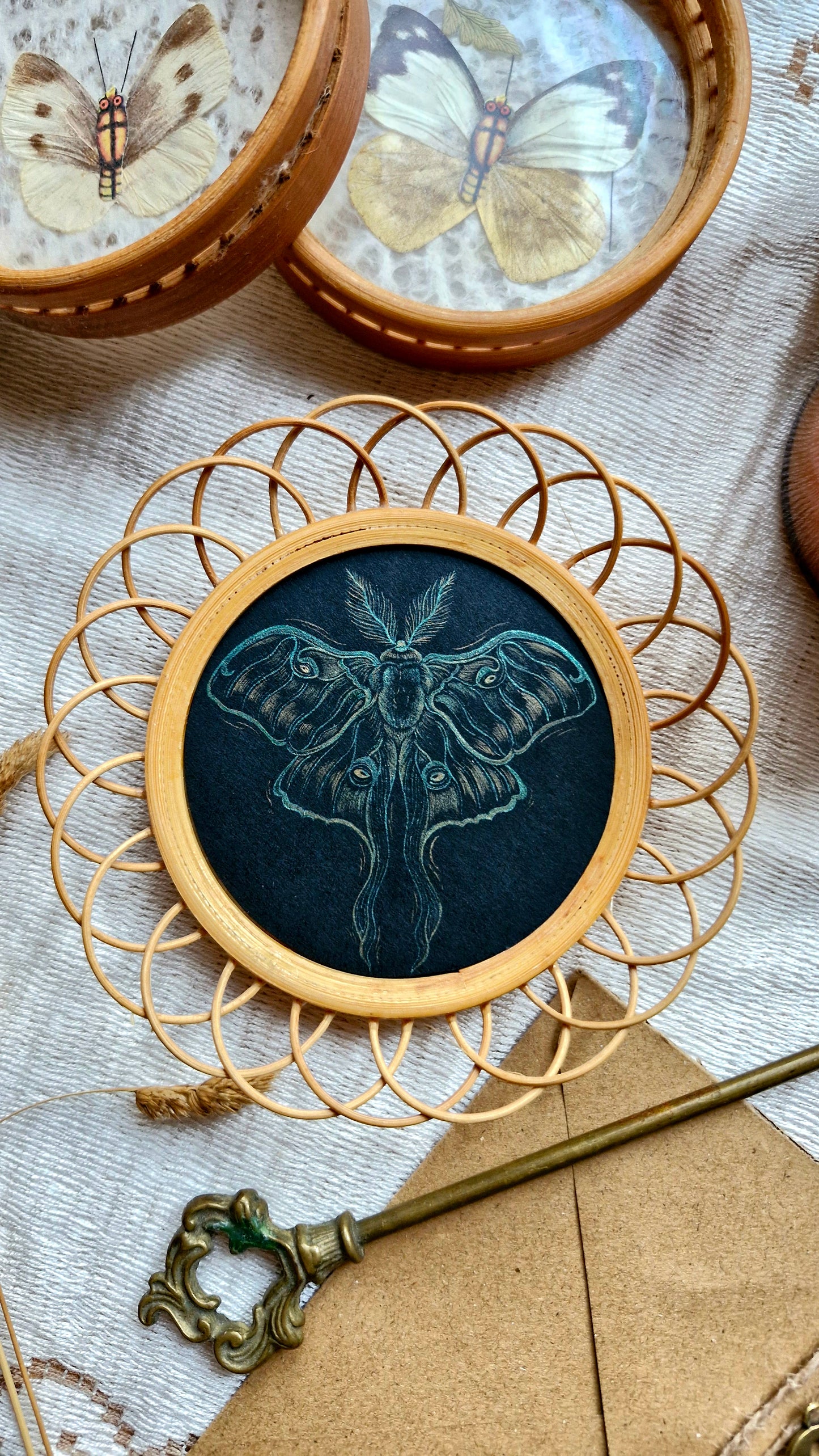 Petit Cadre Rotin ~ Luna Moth