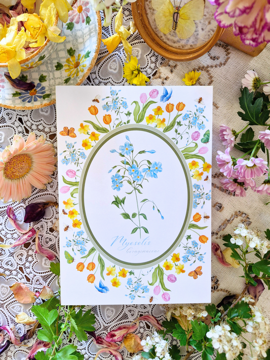 Carte Printanière A5 LE MYOSOTIS