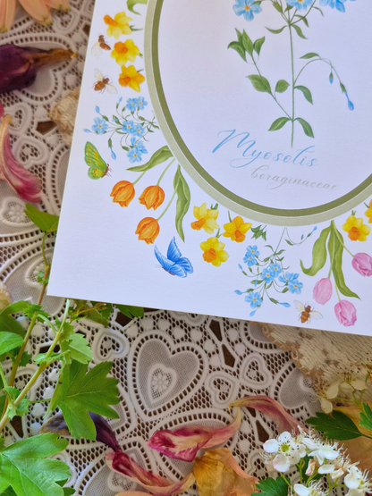 Carte Printanière A5 LE MYOSOTIS
