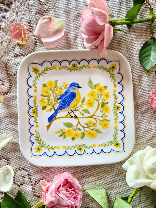 Coupelle Gourmandise MESANGE BLEUE