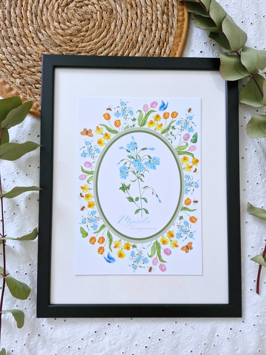 Affiche Printanière MYOSOTIS