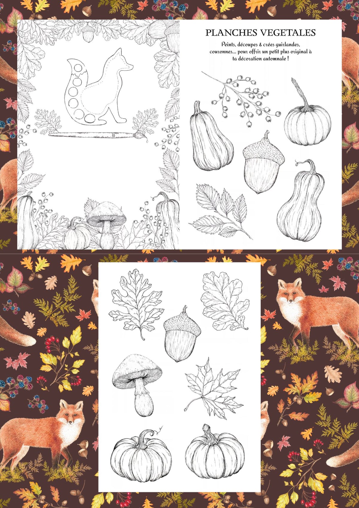 "FOREST FOX" ensemble pour amateurs d'aquarelle et de moments doux