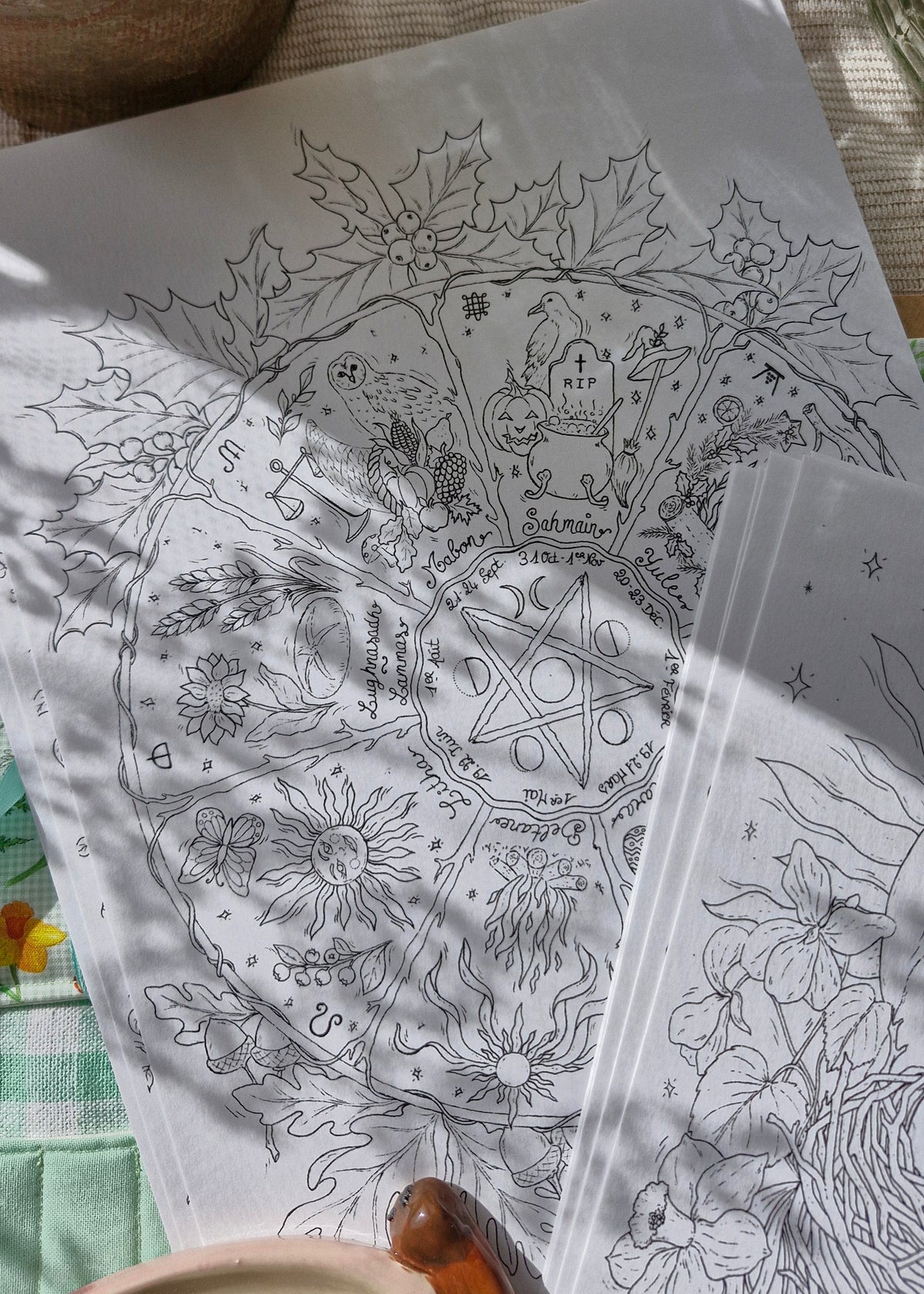 Set de 15 illustrations printanières et magiques à peindre