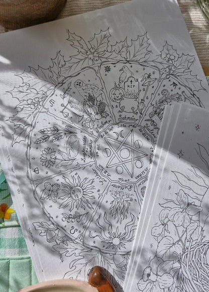 Set de 15 illustrations printanières et magiques à peindre