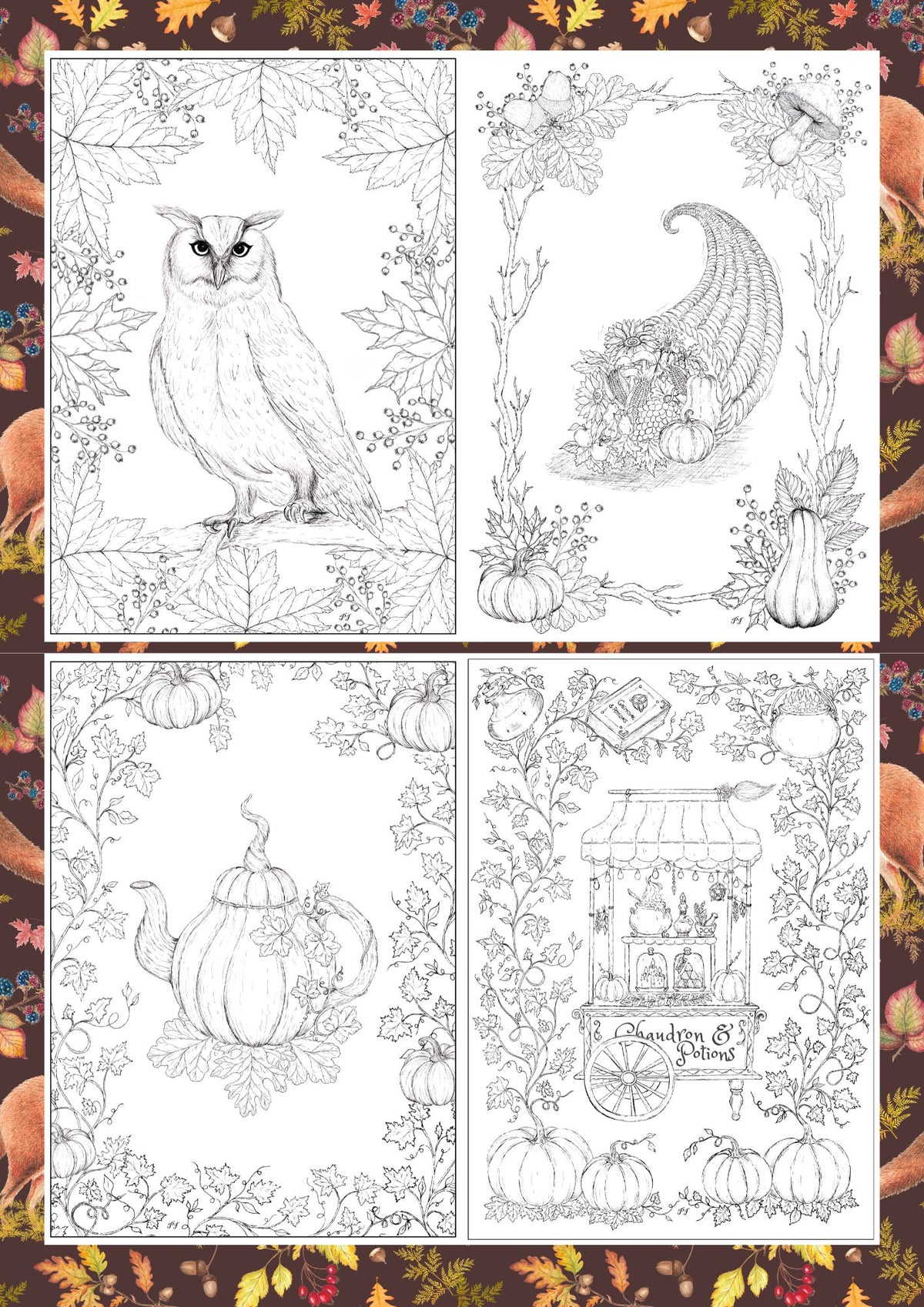 "FOREST FOX" ensemble pour amateurs d'aquarelle et de moments doux