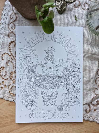 Set de 15 illustrations printanières et magiques à peindre