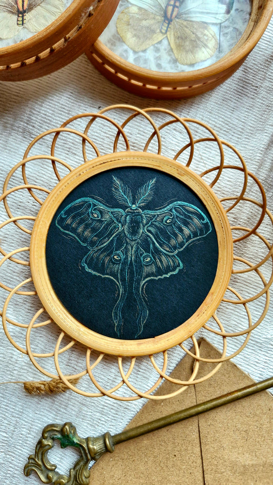 Petit Cadre Rotin ~ Luna Moth